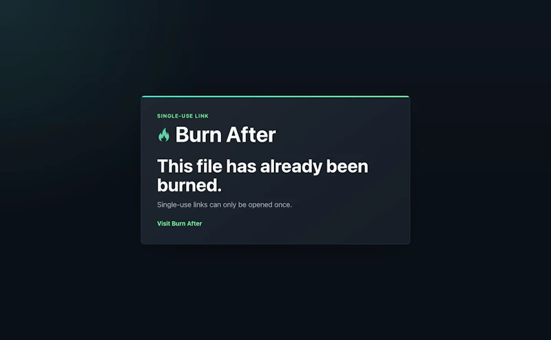 Burn After screenshot 4