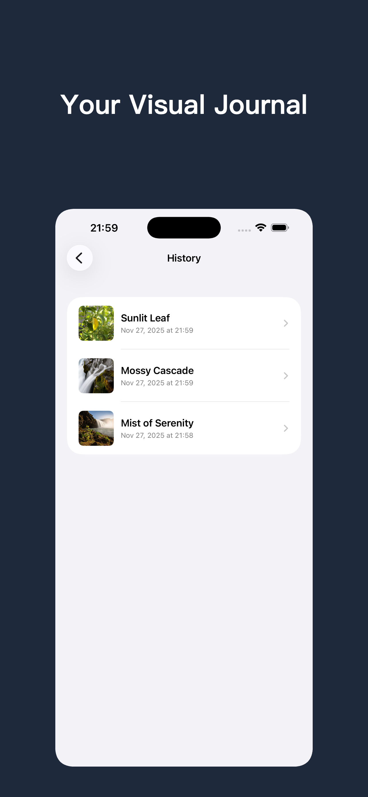 Insight - Al Visual Discovery gallery image