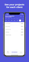 Projects: Timesheet & Invoices gallery image