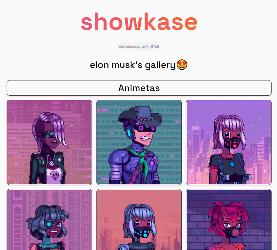 showkase gallery image