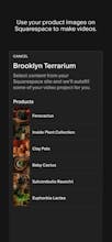 Squarespace Video Studio gallery image