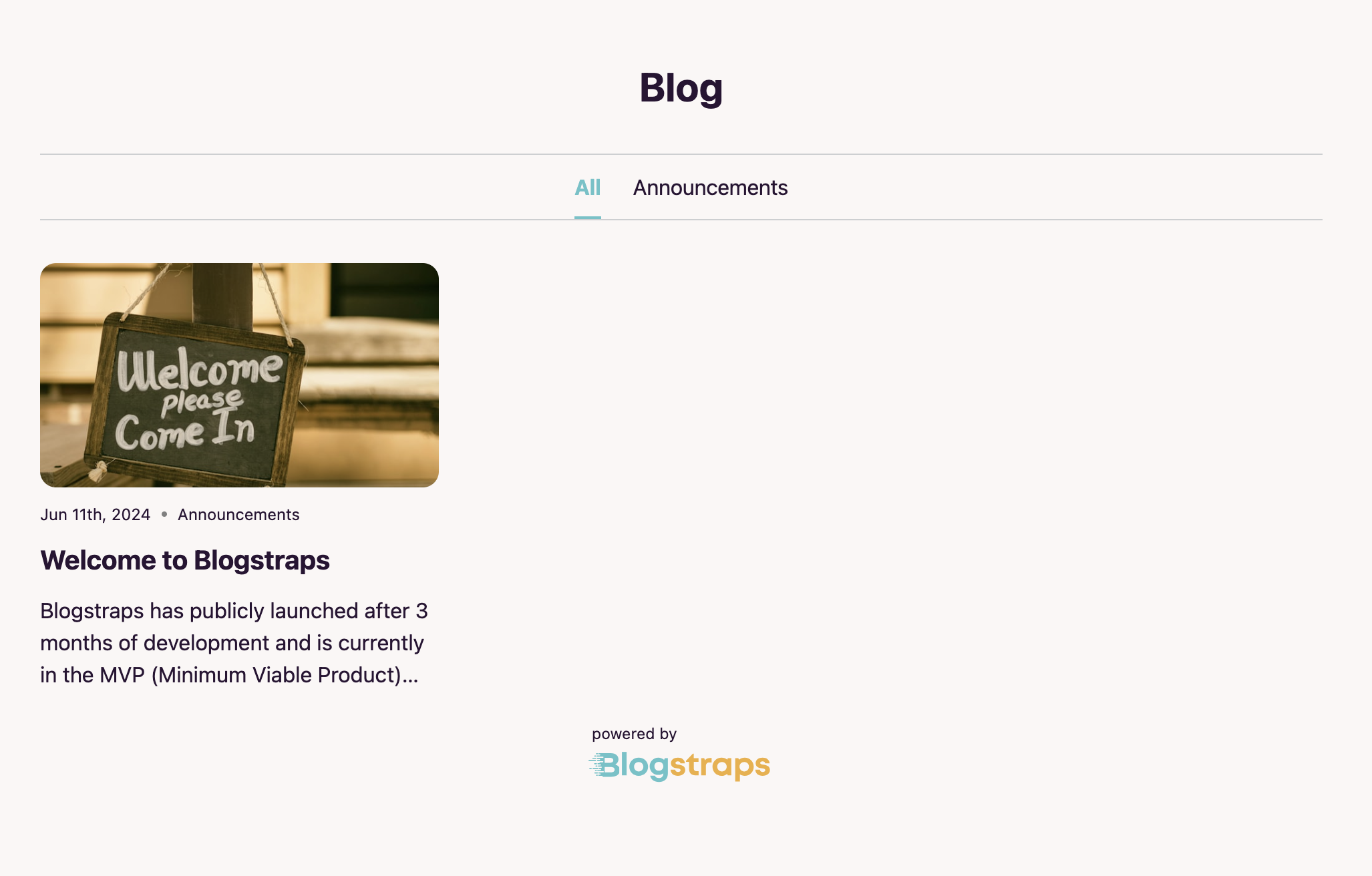 Blogstraps media 2