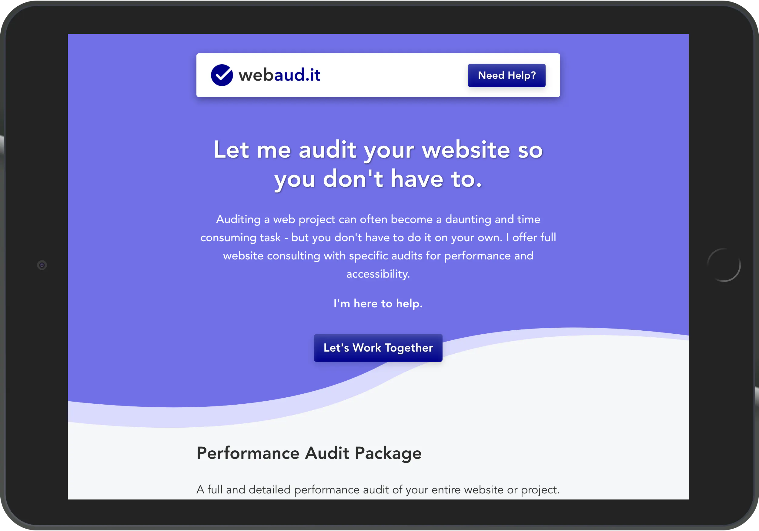 Web Audit Image