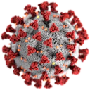 COVID-19 Agents and API