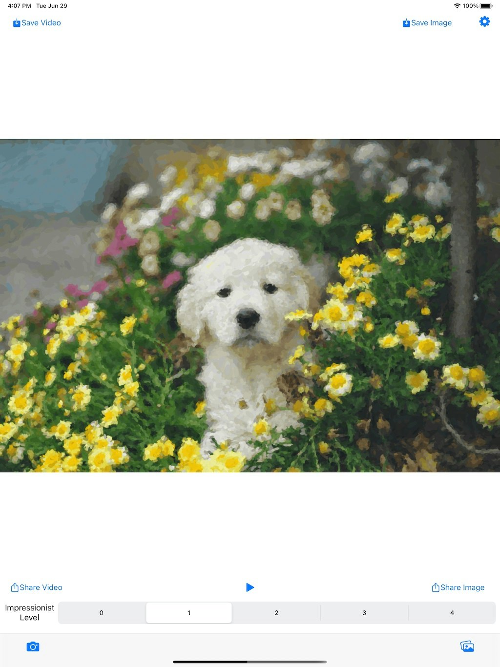 PaintSnap gallery image