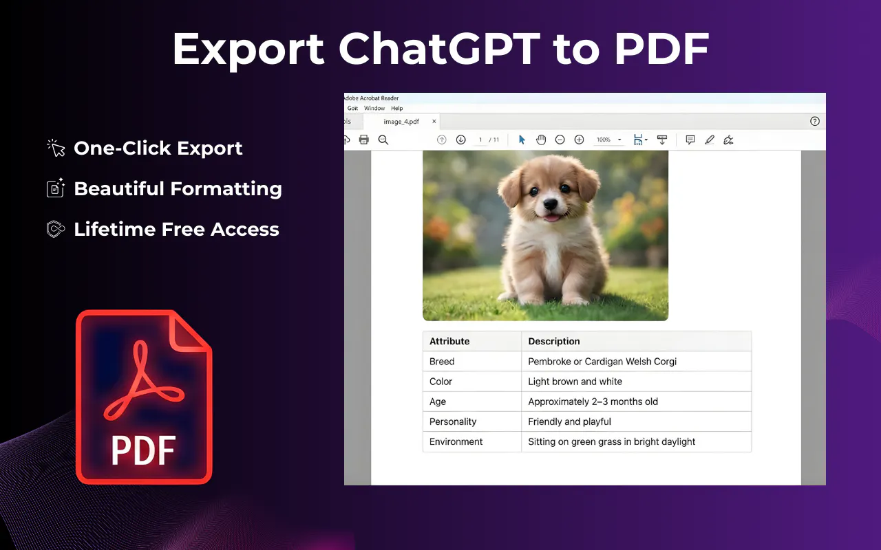 Export ChatGPT Conversation gallery image