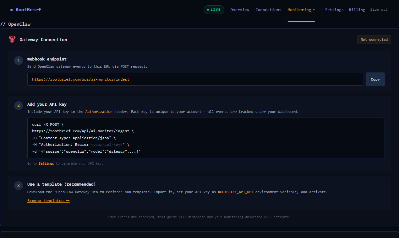 RootBrief gallery image