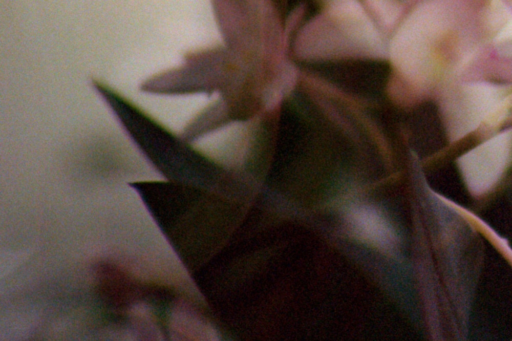 In Kind Creative gallery image