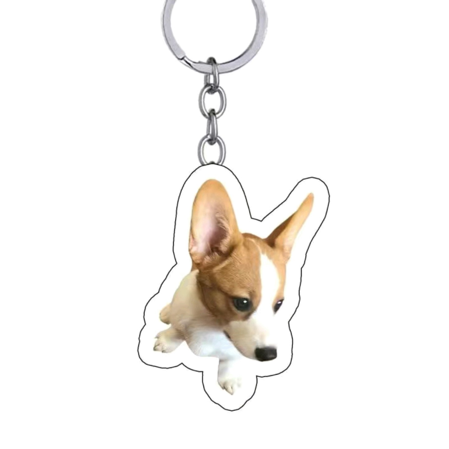 Özel Pet Keychain Köpek Anahtar Zinciri - Köpek Anahtarı medya 3