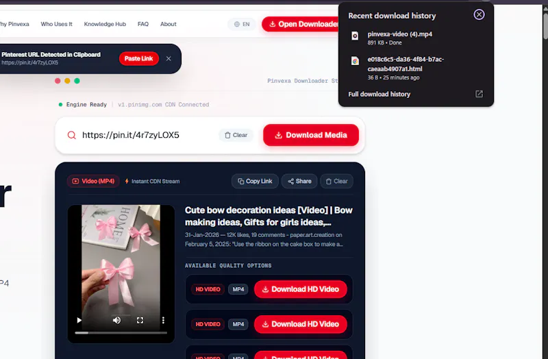 Pinvexa screenshot 5