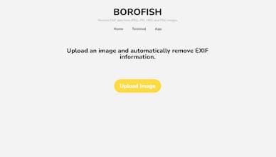 Borofish.com gallery image