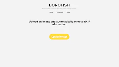 Borofish.com gallery image