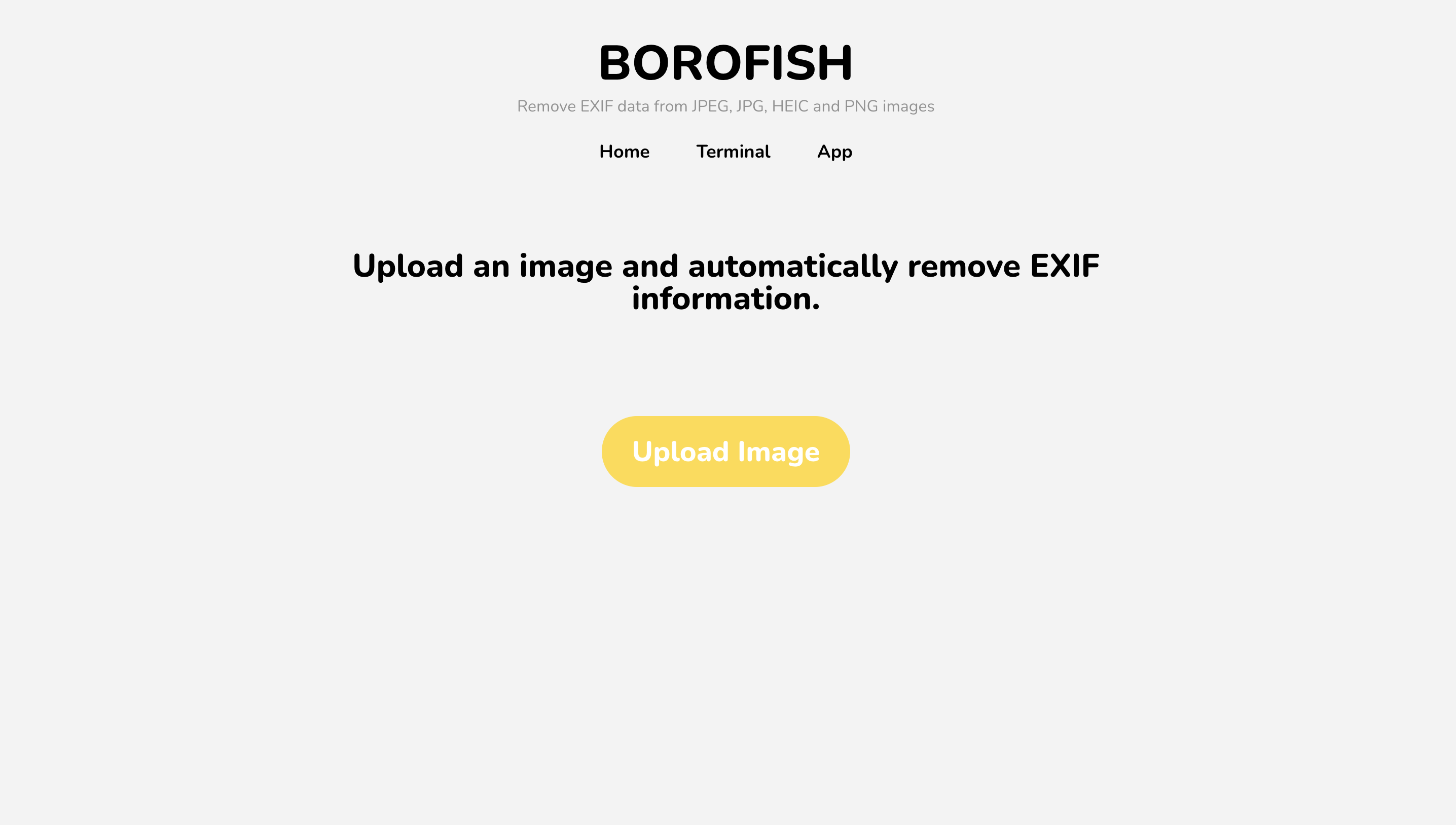 Borofish.com media 1