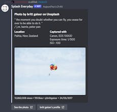 Splash Everyday gallery image