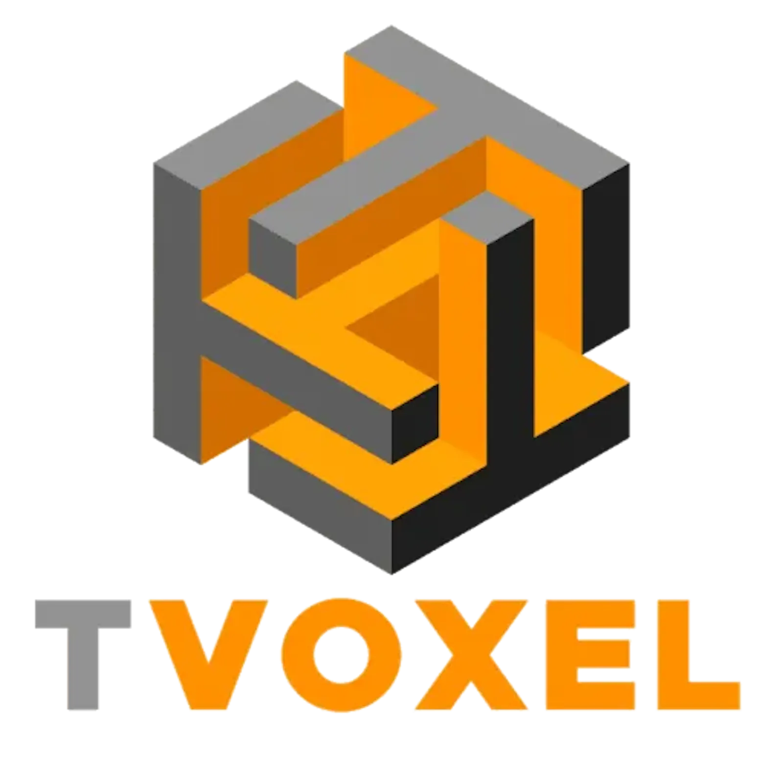 Tvoxel Technologies screenshot 1