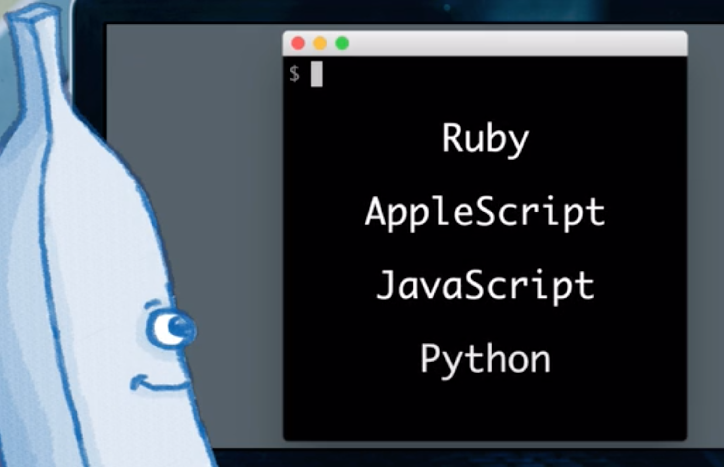 Xiki Hub gallery image