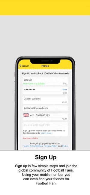 Football Fan gallery image