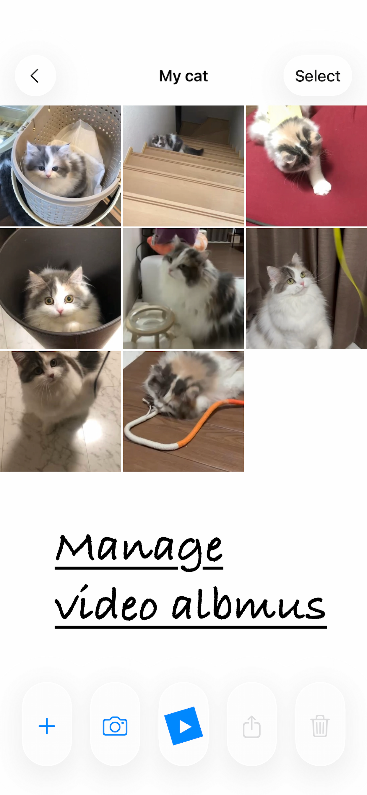 MemoriaR - Screenshot 3 showing product features and functionality