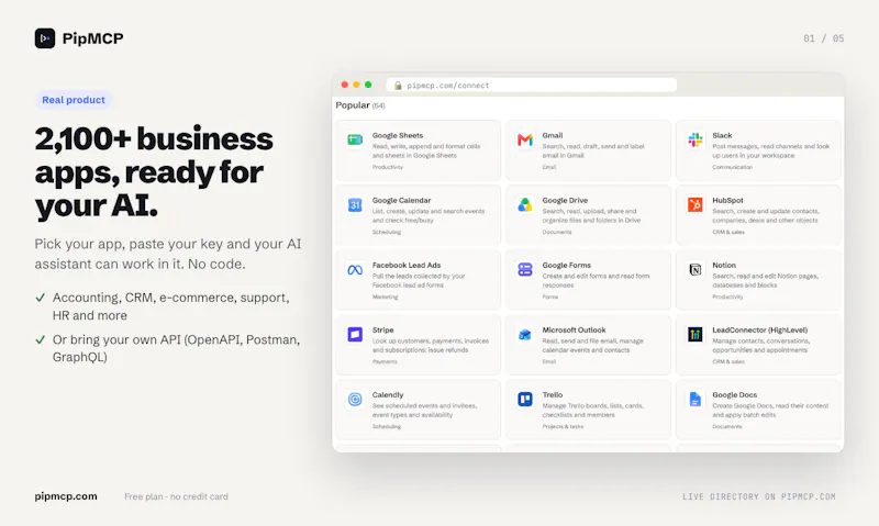 PipMCP screenshot 1