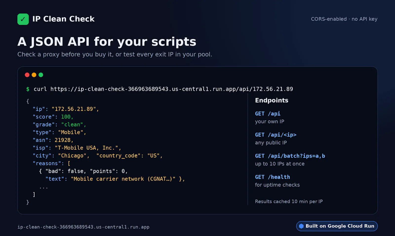 IP Clean Check screenshot 3