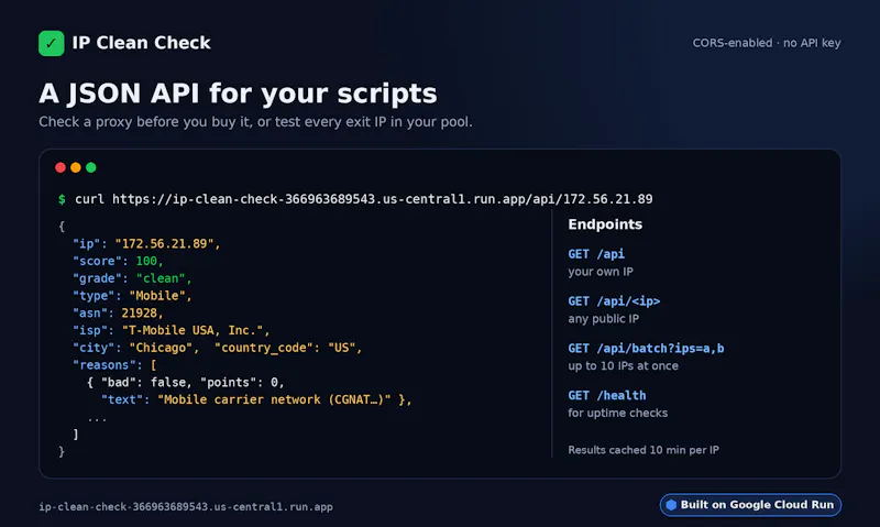 IP Clean Check screenshot 3