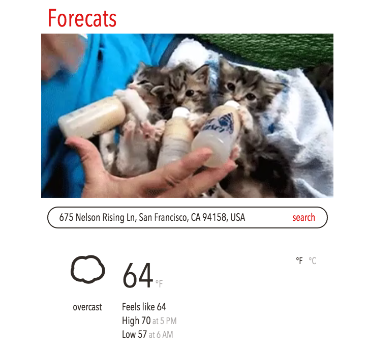 Forecats gallery image