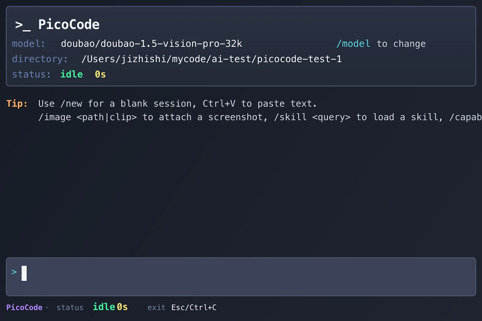 PicoCode screenshot 2