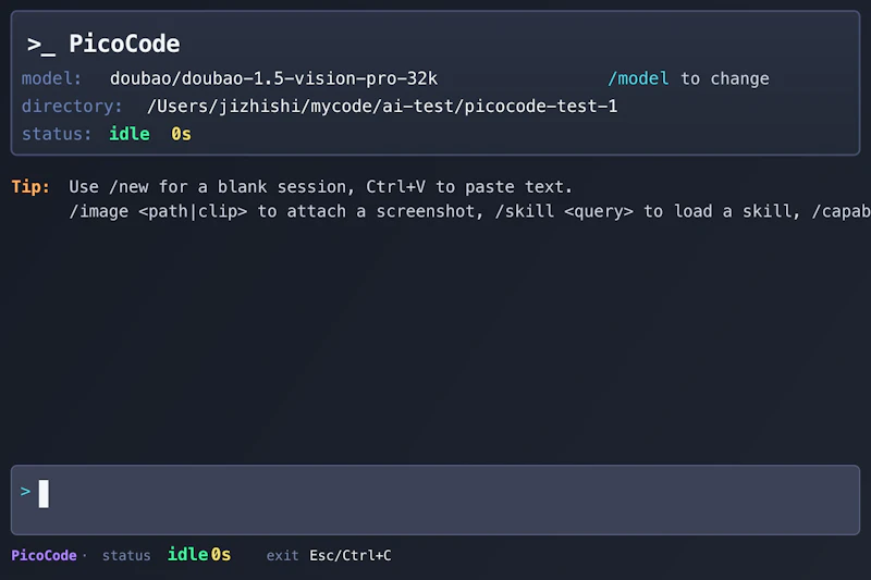 PicoCode screenshot 2