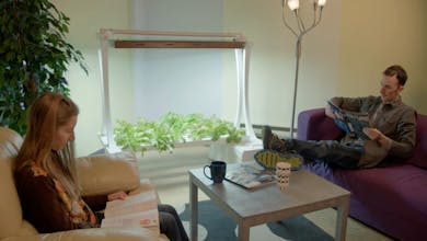 Hope Indoor Eden Garden gallery image