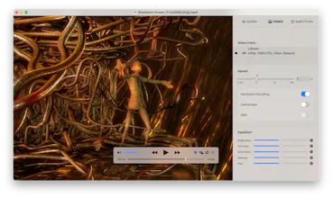 ViPlayer.app gallery image