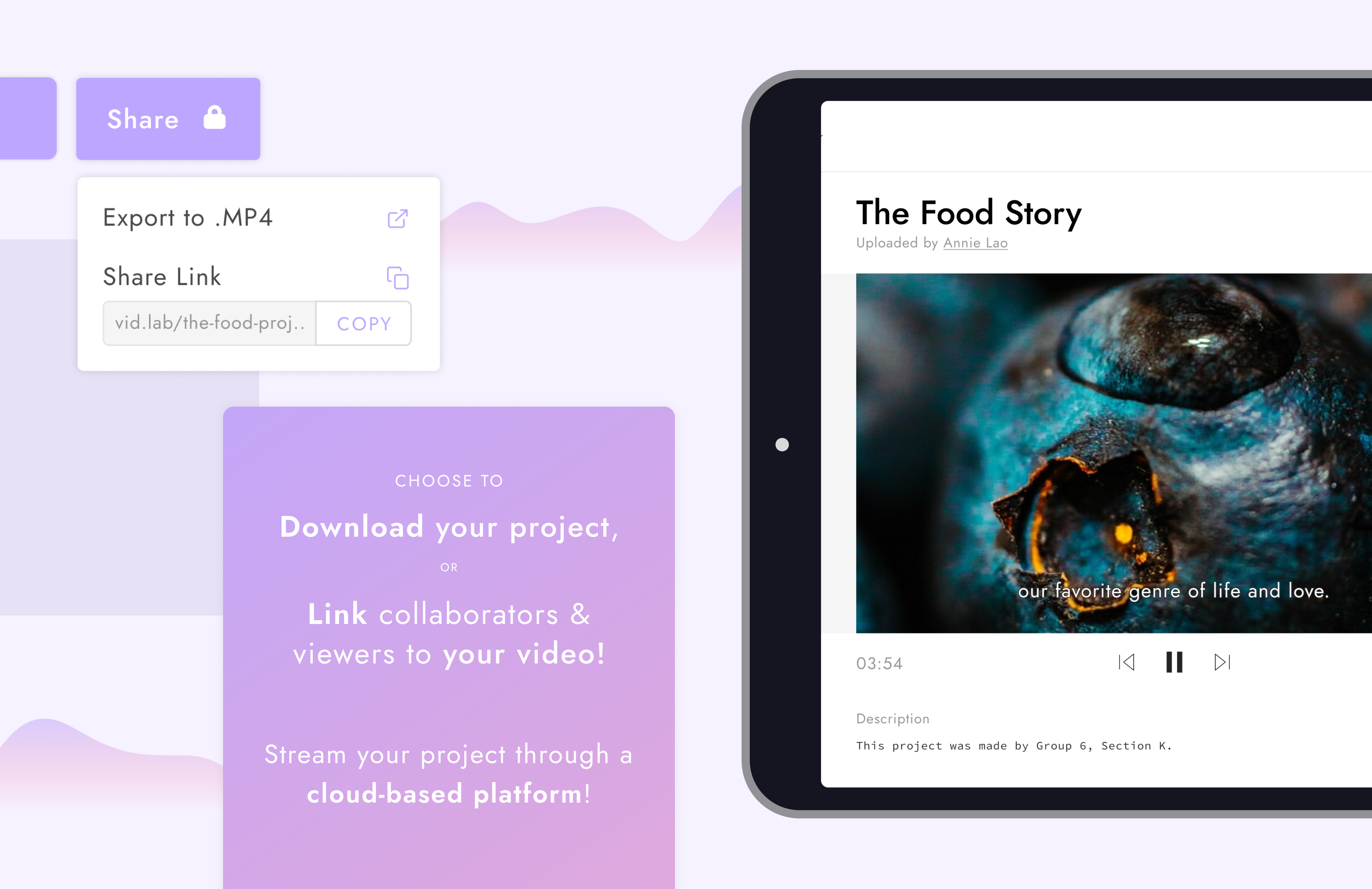 vidlab gallery image