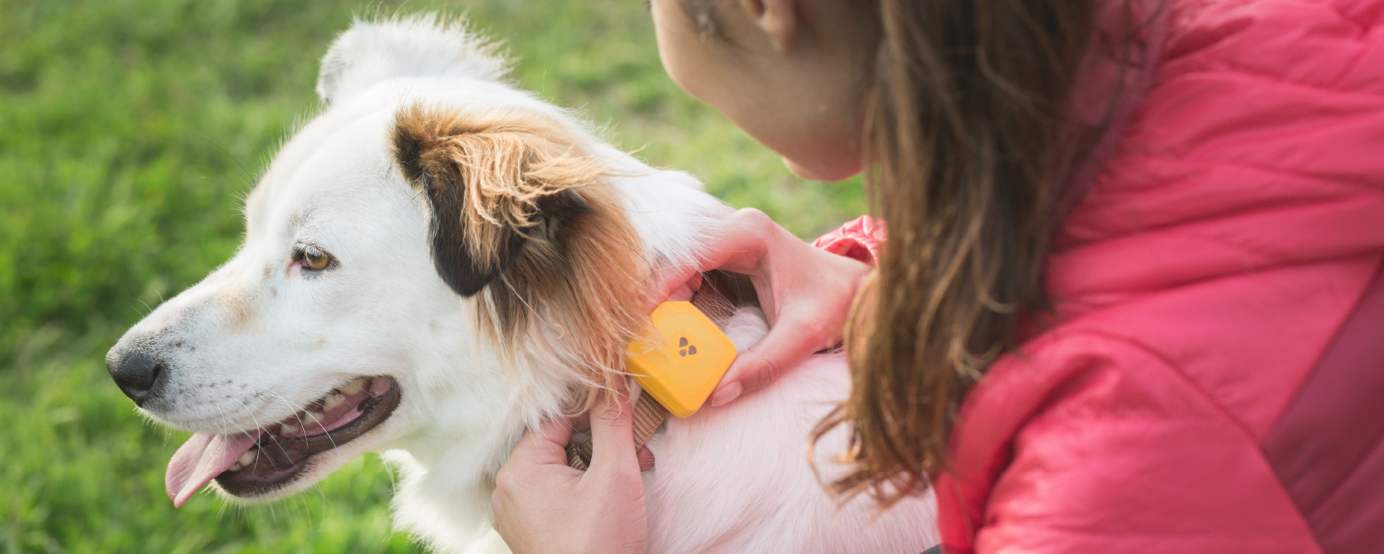 Findster Duo gallery image