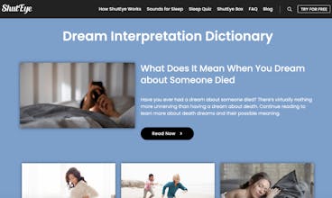 Dreams Vision by ShutEye gallery image