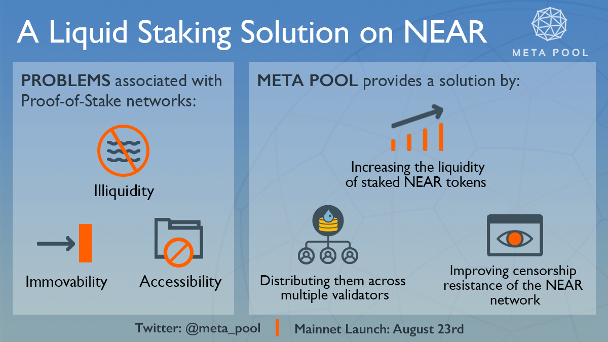 Meta Pool gallery image