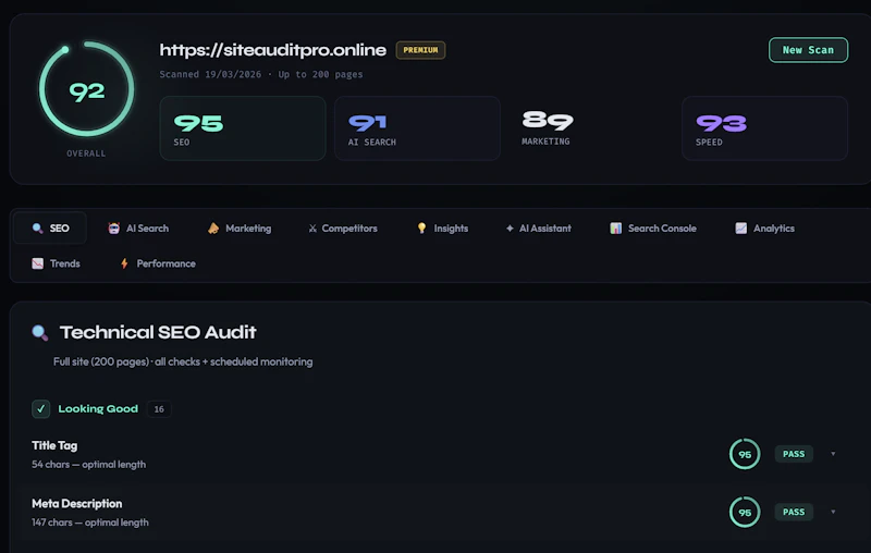 SiteAuditPro screenshot 2