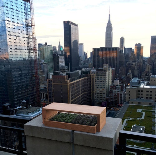 Grow.Bar gallery image