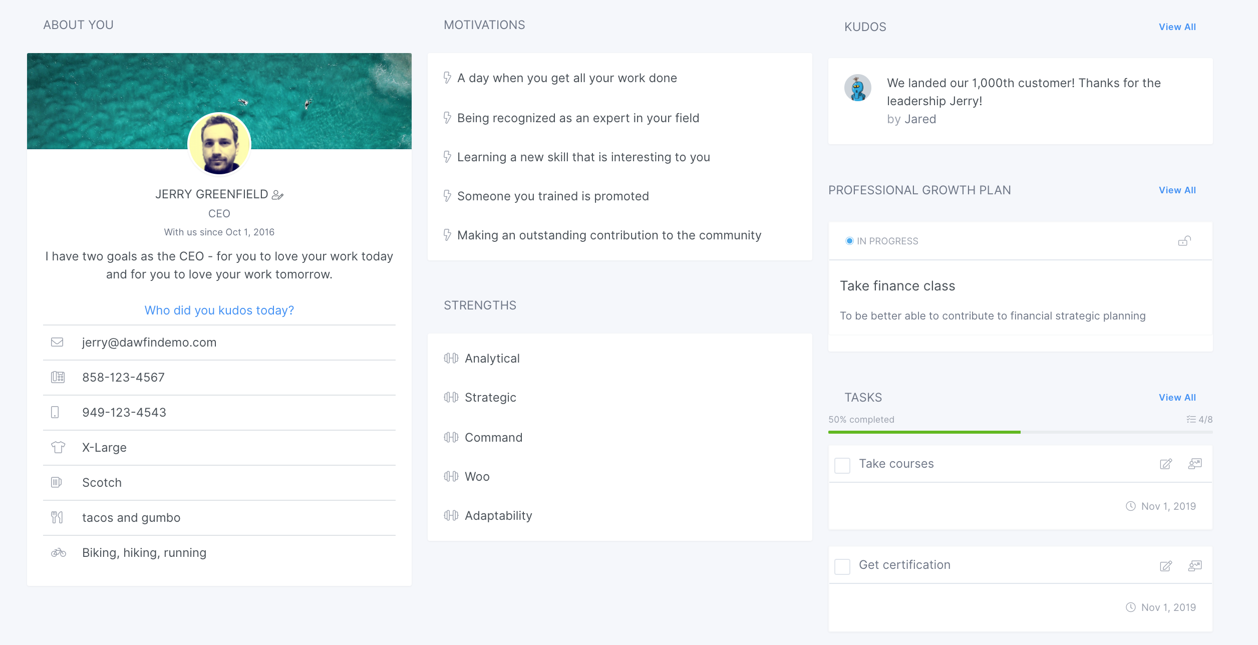 Dawfin gallery image