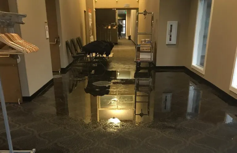 Water Damage Restoration Bothell gallery image