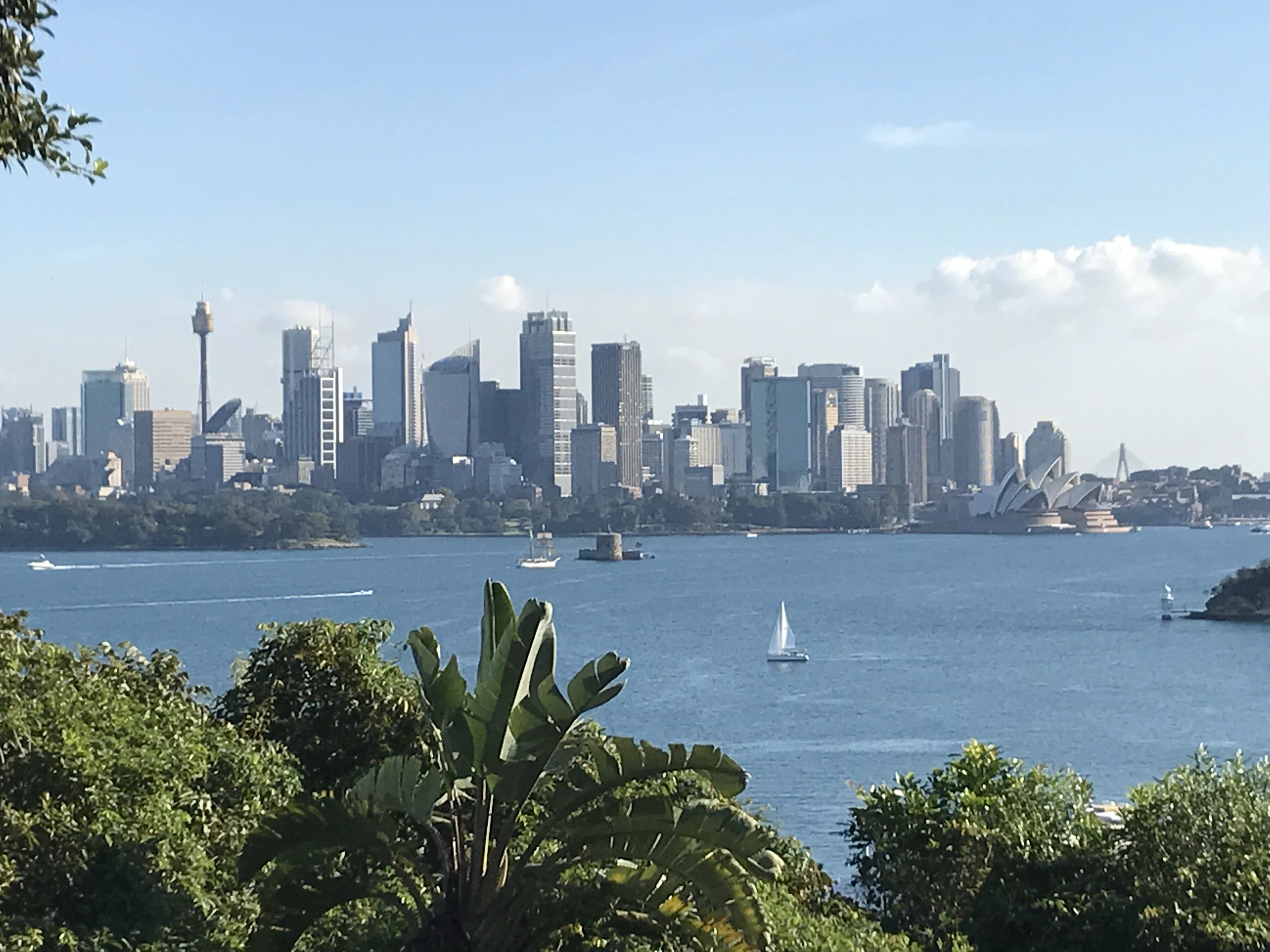 Nicholas Palichuk cover