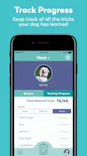 Puppr gallery image