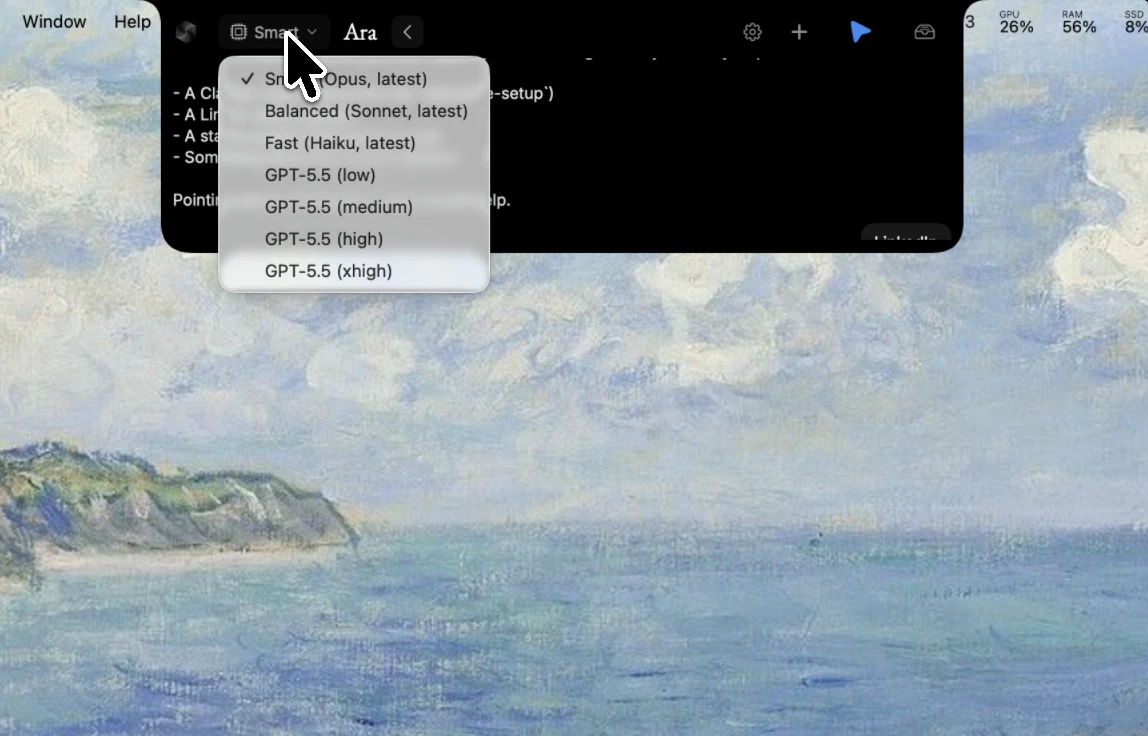 Ara screenshot 2