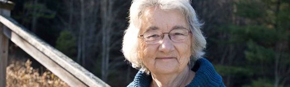 Bridge to Terabithia gallery image