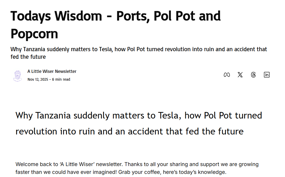 A Little Wiser Newsletter gallery image