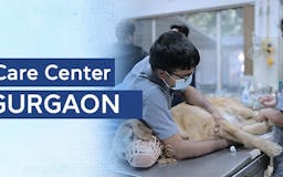 Pet Care Hospital for Dogs-CGS Hospital media 2