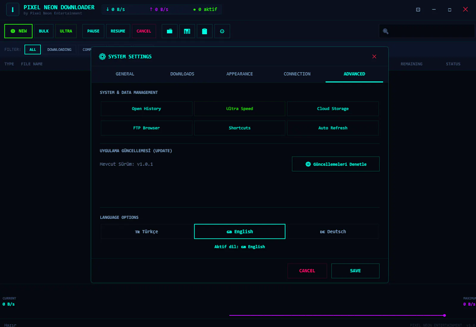 P Downloader screenshot 4