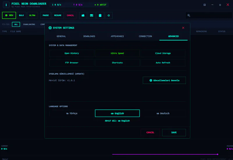 P Downloader screenshot 4