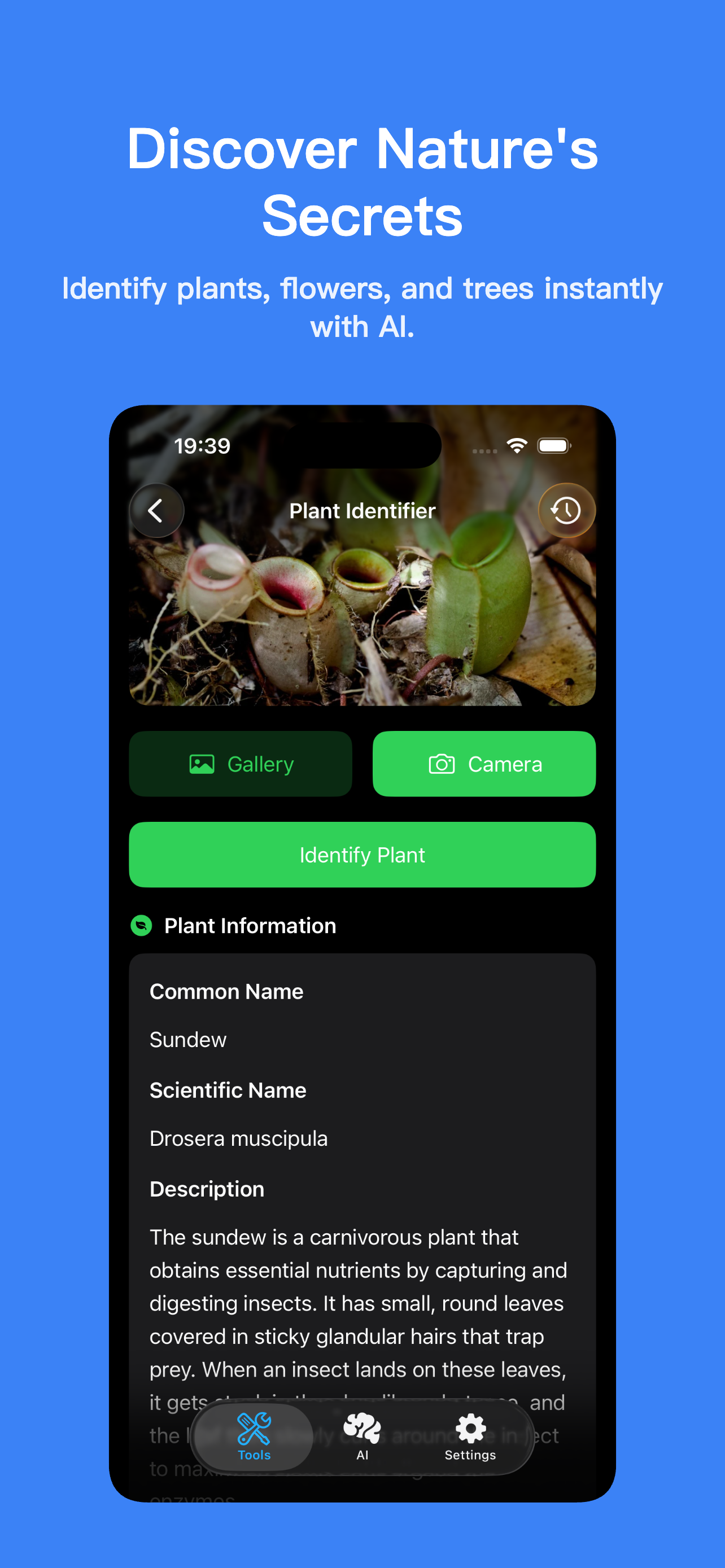 DailyKit gallery image