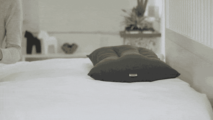 Cotton Shower Pillow, INC.