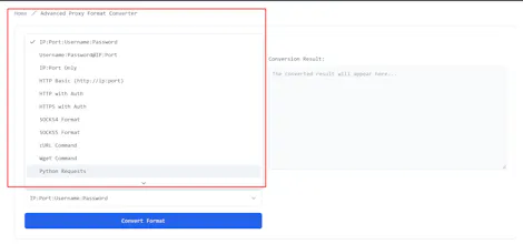 Advanced Proxy Format Converter gallery image