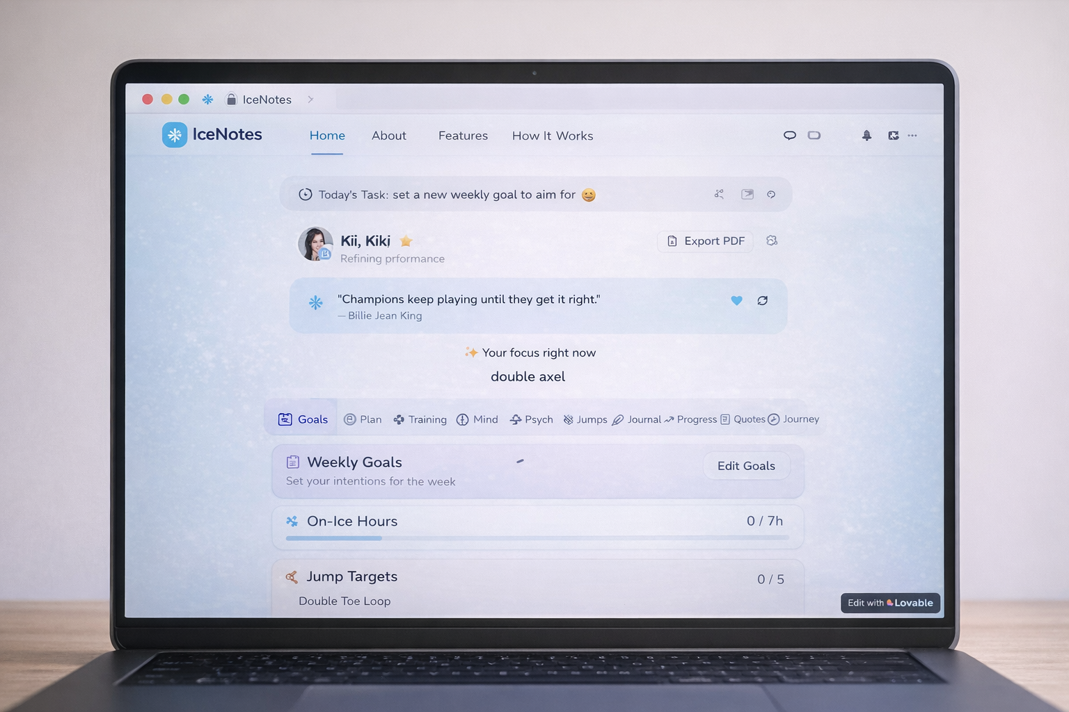 IceNotes - Screenshot 3 showing product features and functionality